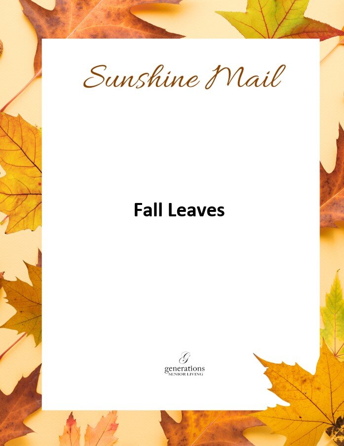 Fall Leaves Stationery