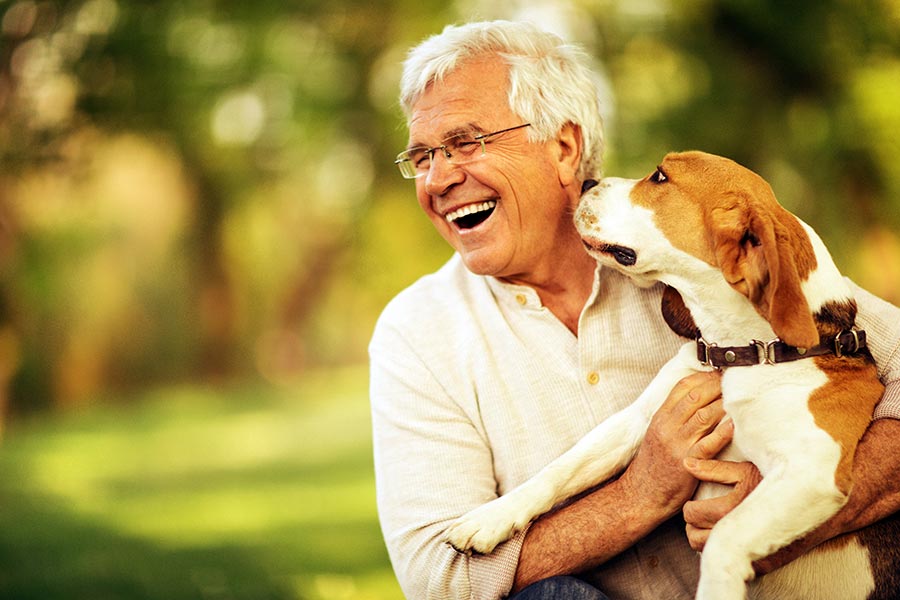 4 Pet Care Tips for Seniors