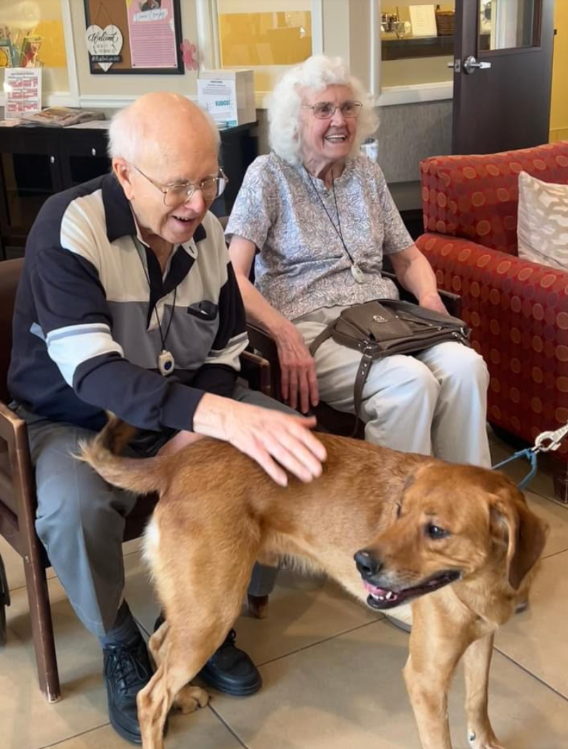 Two seniors sit in chairs smiling and petting a medium size light brown dog