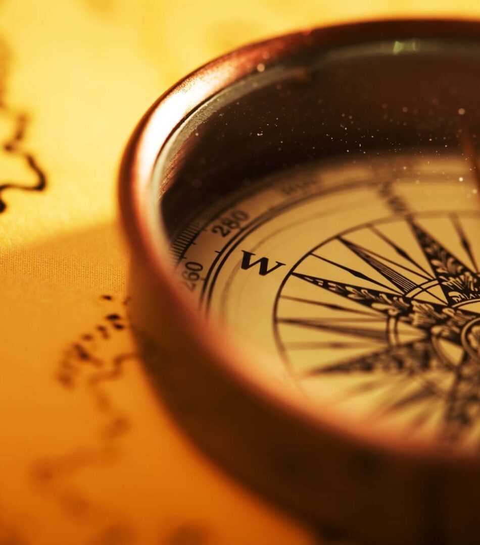 Consulting & Management